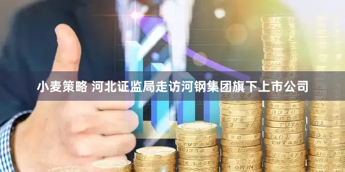 小麦策略 河北证监局走访河钢集团旗下上市公司