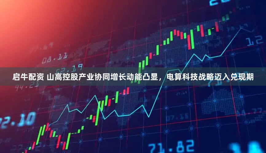 启牛配资 山高控股产业协同增长动能凸显，电算科技战略迈入兑现期