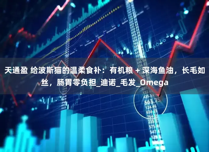 天通盈 给波斯猫的温柔食补：有机粮 + 深海鱼油，长毛如丝，肠胃零负担_迪诺_毛发_Omega